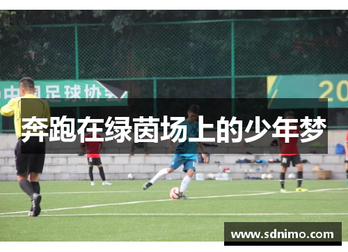 奔跑在绿茵场上的少年梦
