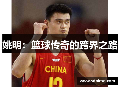姚明：篮球传奇的跨界之路